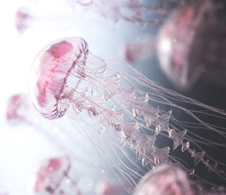 永川醫療精密鈑金加工廠